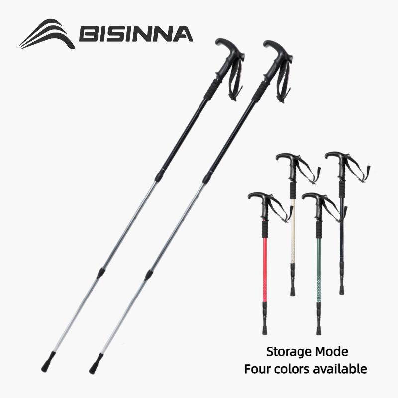 BISINNA 2 bastoni da passeggio - Trekking Pole Carbon recensione e prezzo